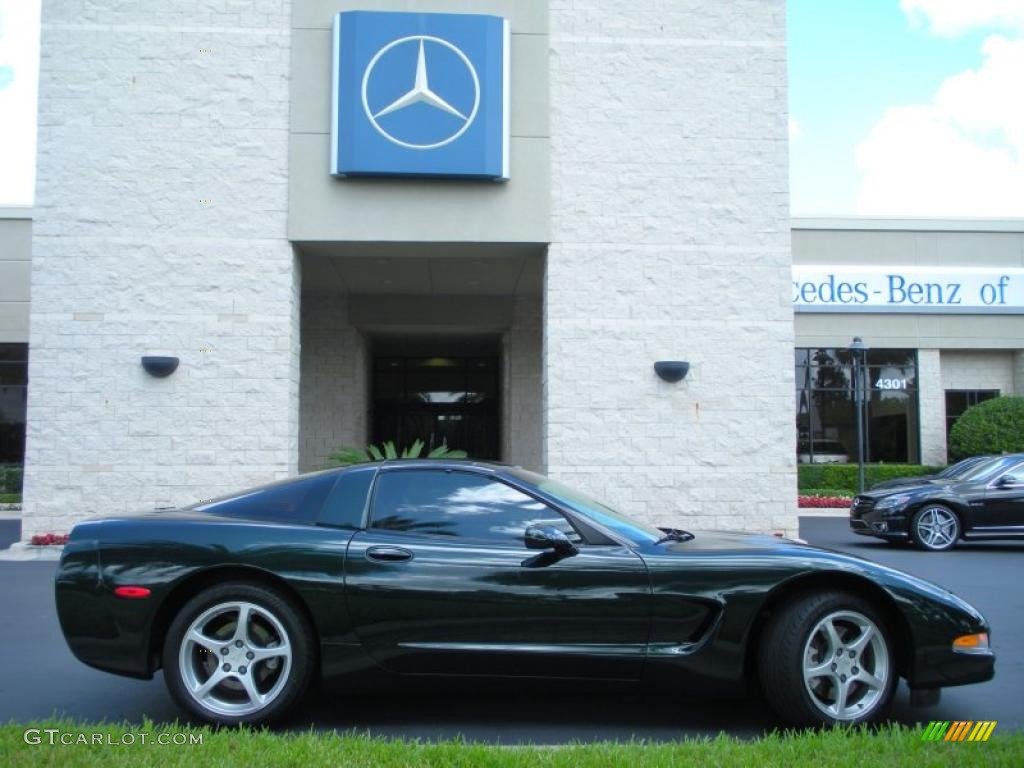 2000 Corvette Coupe - Dark Bowling Green Metallic / Light Oak photo #5