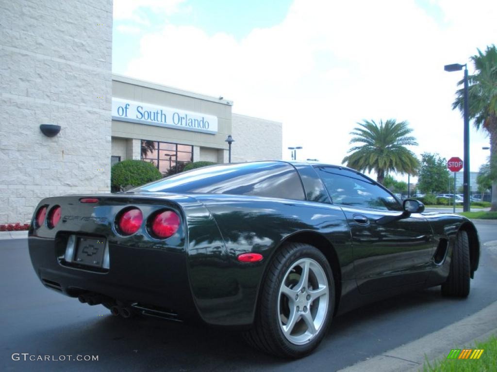 2000 Corvette Coupe - Dark Bowling Green Metallic / Light Oak photo #6