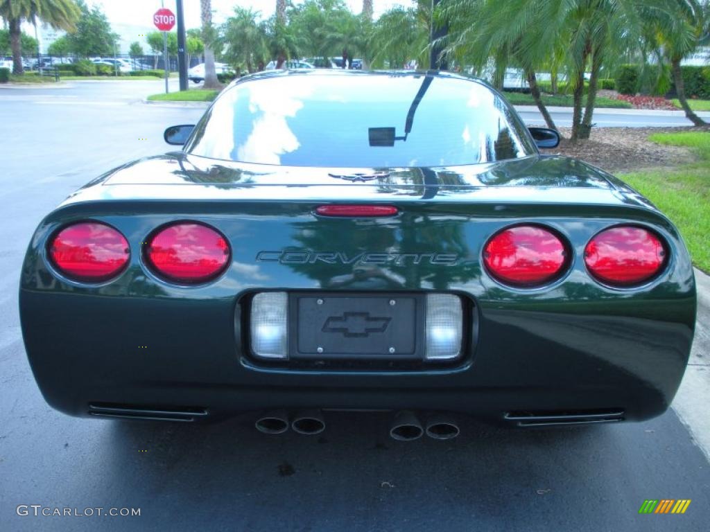 2000 Corvette Coupe - Dark Bowling Green Metallic / Light Oak photo #7