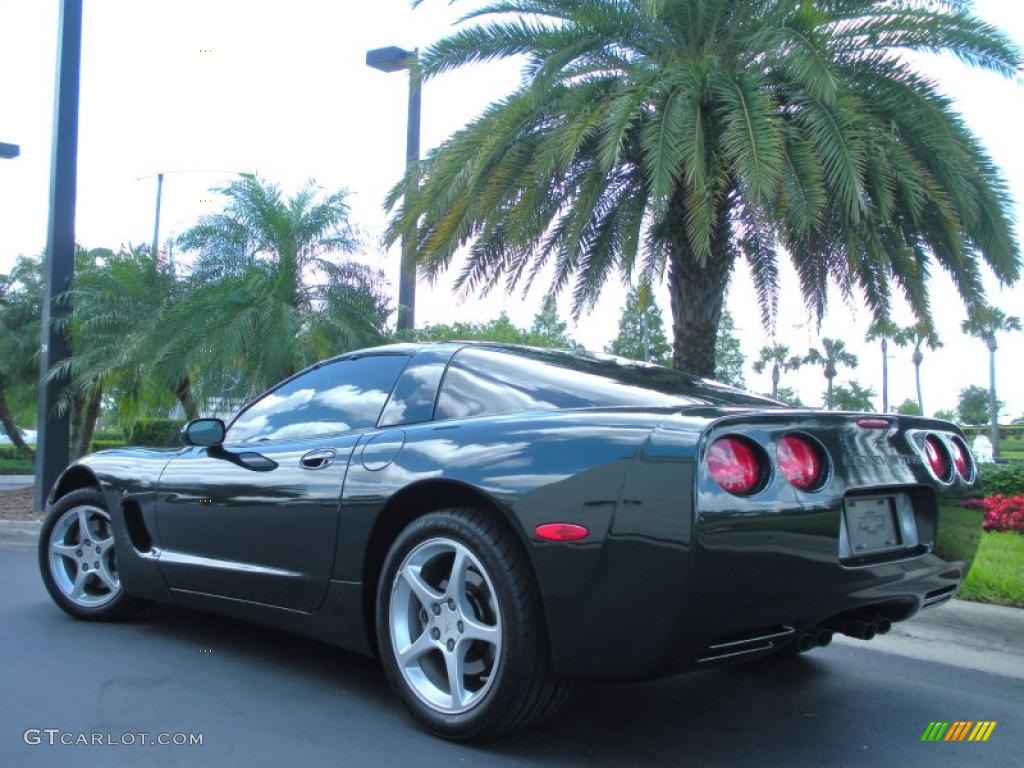 2000 Corvette Coupe - Dark Bowling Green Metallic / Light Oak photo #8