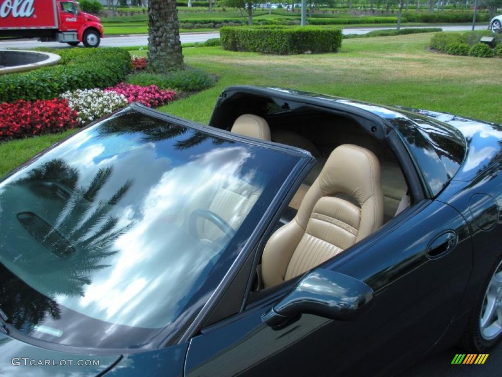 2000 Corvette Coupe - Dark Bowling Green Metallic / Light Oak photo #9