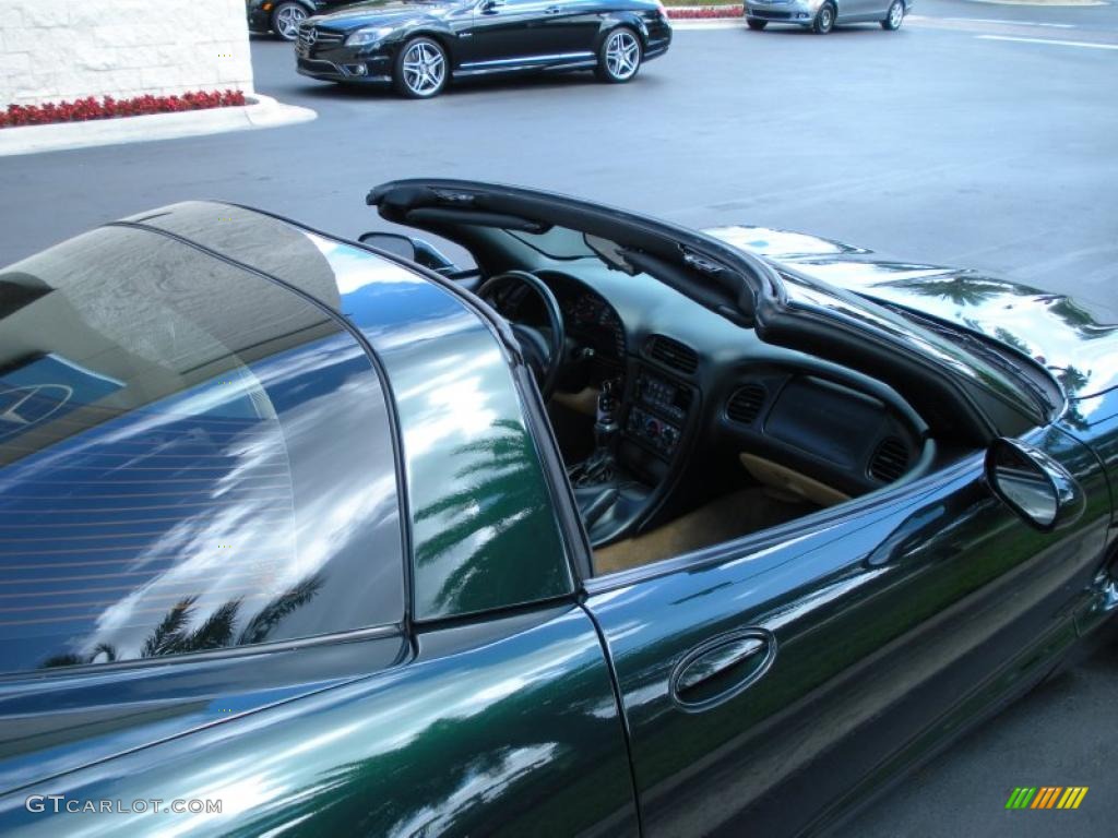 2000 Corvette Coupe - Dark Bowling Green Metallic / Light Oak photo #11