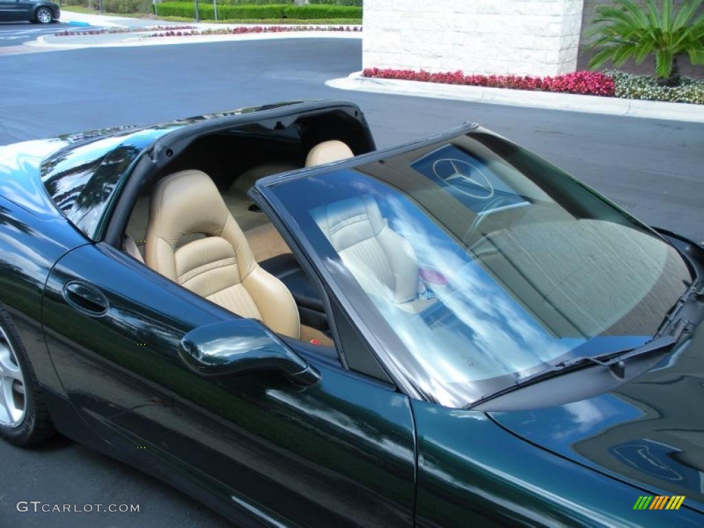 2000 Corvette Coupe - Dark Bowling Green Metallic / Light Oak photo #12