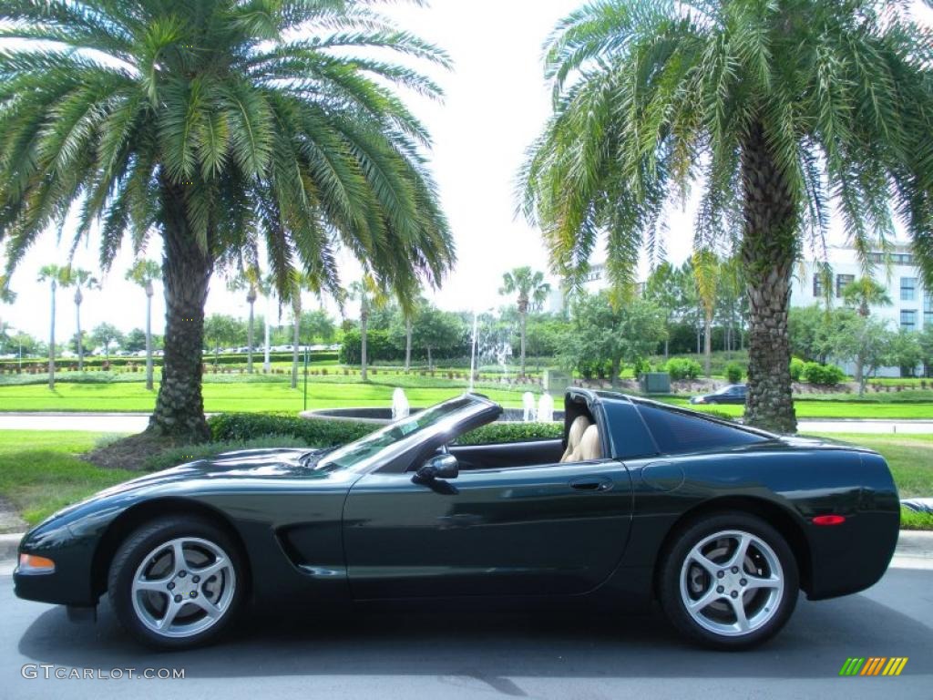2000 Corvette Coupe - Dark Bowling Green Metallic / Light Oak photo #13