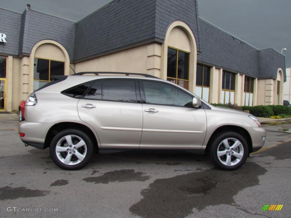 2008 RX 350 - Desert Sage Metallic / Ivory photo #7