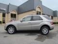 Pewter Metallic - ML 350 4Matic Photo No. 4