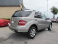 Pewter Metallic - ML 350 4Matic Photo No. 6