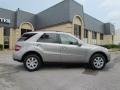 Pewter Metallic - ML 350 4Matic Photo No. 7