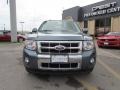 2010 Steel Blue Metallic Ford Escape Limited  photo #2