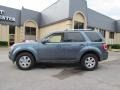 2010 Steel Blue Metallic Ford Escape Limited  photo #4