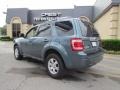 2010 Steel Blue Metallic Ford Escape Limited  photo #5