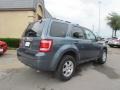 Steel Blue Metallic 2010 Ford Escape Limited Exterior