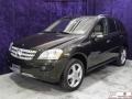 2008 Obsidian Black Metallic Mercedes-Benz ML 350 4Matic  photo #4