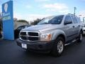 Bright Silver Metallic - Durango SXT Photo No. 4