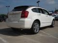 Stone White - Caliber R/T Photo No. 3
