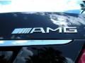 2008 Mercedes-Benz CL 63 AMG Badge and Logo Photo