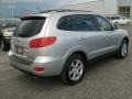 Bright Silver - Santa Fe SE 4WD Photo No. 8