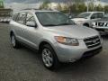 Bright Silver - Santa Fe SE 4WD Photo No. 9