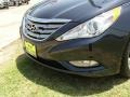 2011 Pacific Blue Pearl Hyundai Sonata Limited  photo #10