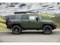 Army Green 2011 Toyota FJ Cruiser 4WD Exterior