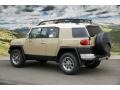 Quicksand 2011 Toyota FJ Cruiser 4WD Exterior