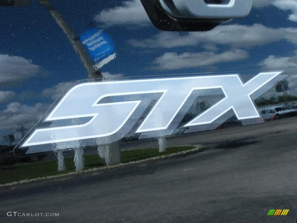 2006 Ford F150 STX Regular Cab Marks and Logos Photo #48534845