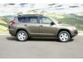 Pyrite Metallic - RAV4 I4 4WD Photo No. 2