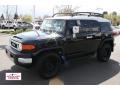 Black Diamond - FJ Cruiser 4WD Photo No. 5