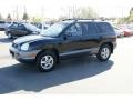 2003 Black Obsidian Hyundai Santa Fe GLS  photo #5