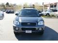 2003 Black Obsidian Hyundai Santa Fe GLS  photo #6