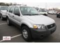 Silver Metallic - Escape XLS 4WD Photo No. 1