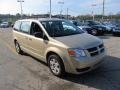 White Gold Pearl - Grand Caravan SE Photo No. 9