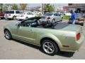 2005 Legend Lime Metallic Ford Mustang GT Premium Convertible  photo #6