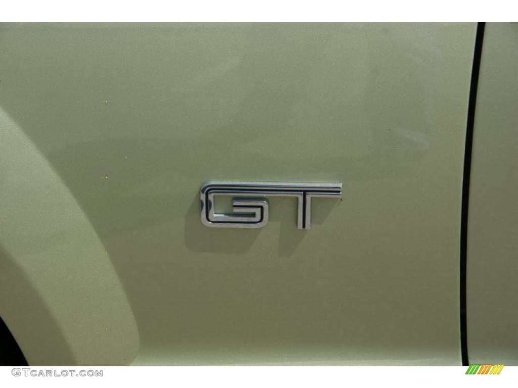2005 Mustang GT Premium Convertible - Legend Lime Metallic / Dark Charcoal photo #20