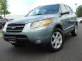 2008 Platinum Sage Hyundai Santa Fe Limited  photo #1