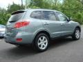 2008 Platinum Sage Hyundai Santa Fe Limited  photo #6