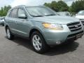 2008 Platinum Sage Hyundai Santa Fe Limited  photo #8