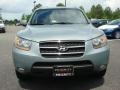 2008 Platinum Sage Hyundai Santa Fe Limited  photo #9