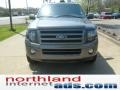 2010 Sterling Grey Metallic Ford Expedition Limited 4x4  photo #3