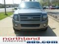 Sterling Grey Metallic - Expedition Limited 4x4 Photo No. 3