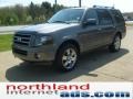 2010 Sterling Grey Metallic Ford Expedition Limited 4x4  photo #4