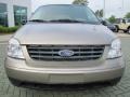 Arizona Beige Metallic - Freestar SES Photo No. 8