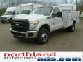 Oxford White - F350 Super Duty XL Regular Cab 4x4 Chassis Commercial Photo No. 4