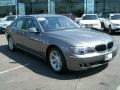 2008 Sterling Grey Metallic BMW 7 Series 750Li Sedan  photo #3