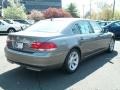 2008 Sterling Grey Metallic BMW 7 Series 750Li Sedan  photo #5