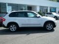Alpine White - X5 3.0si Photo No. 4