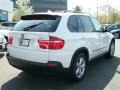 Alpine White - X5 3.0si Photo No. 5