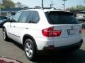 Alpine White - X5 3.0si Photo No. 7
