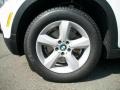 Alpine White - X5 3.0si Photo No. 33
