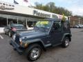 2001 Steel Blue Pearl Jeep Wrangler SE 4x4  photo #1